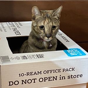 Meet your Posher, Taylor